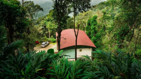 Stallion Estates, Munnar